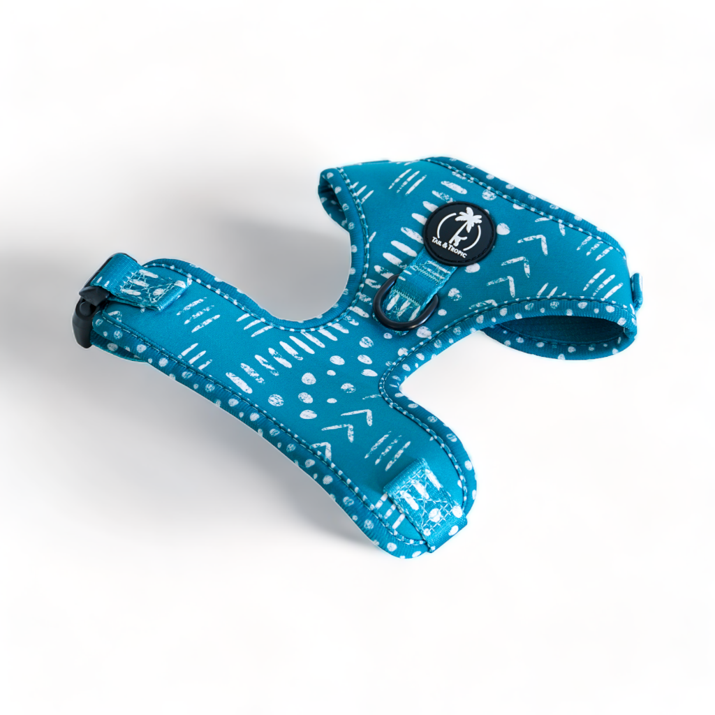 KAIA: Style & Practicality