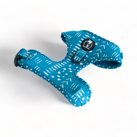 KAIA: Style & Practicality