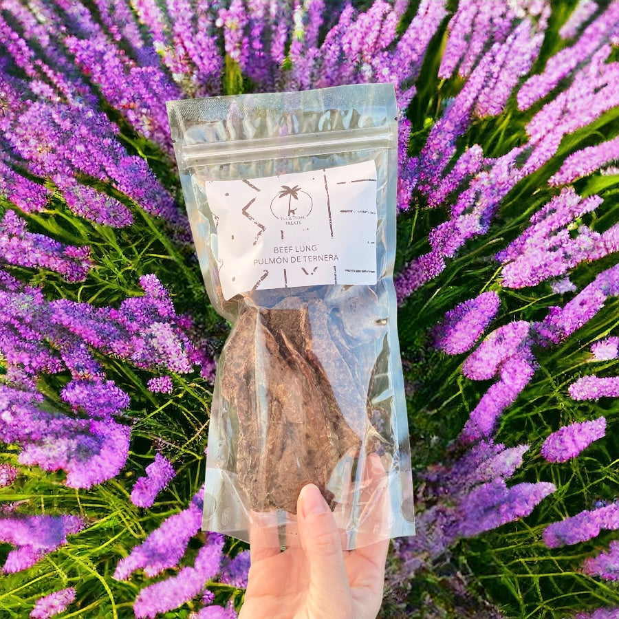 BEEF LUNG - Dehydrated natural snack for dogs