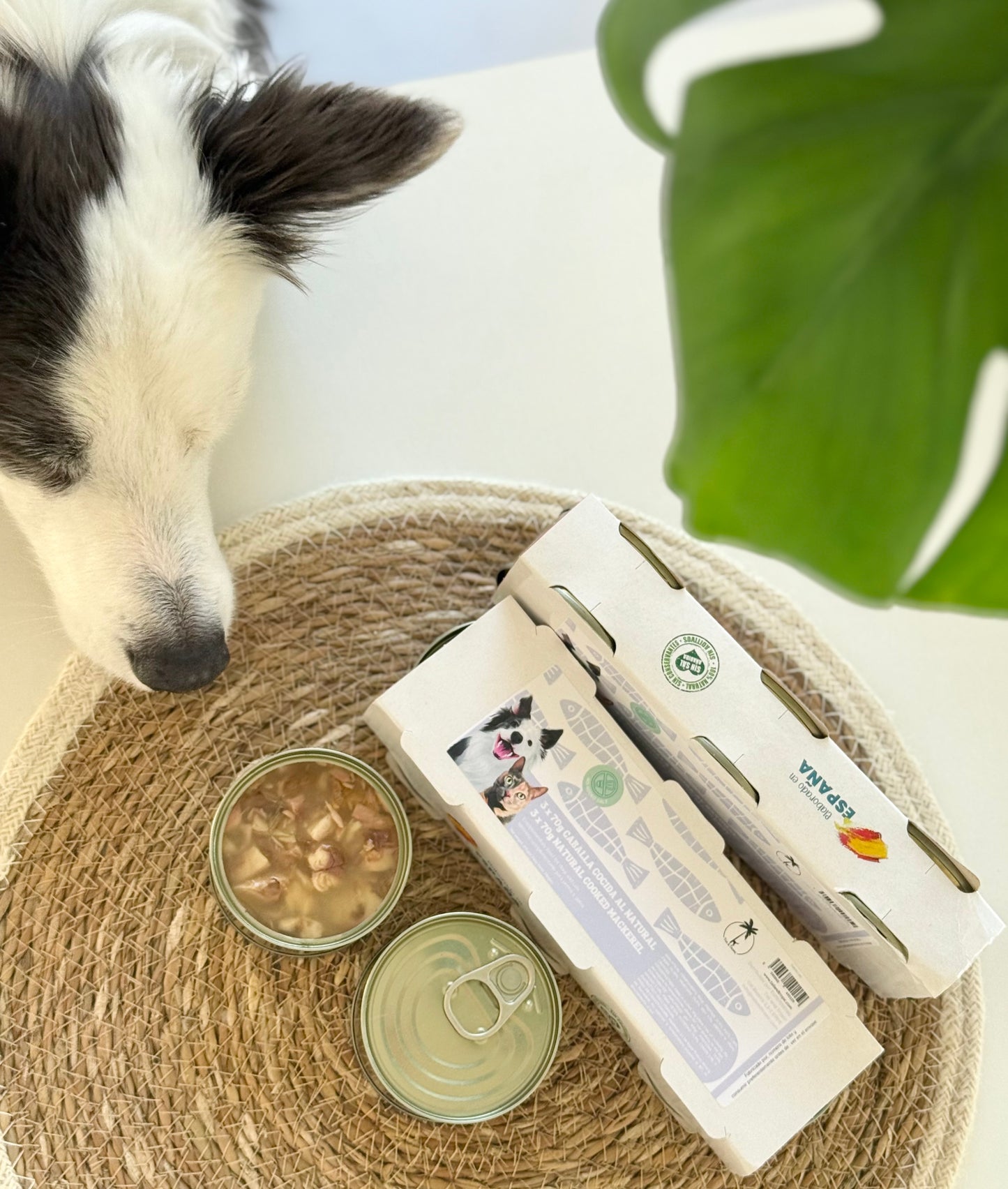 NATURAL COOKED MACKEREL TINS - 3x70g tins for dogs & cats - Tail & Tropic natural pet food