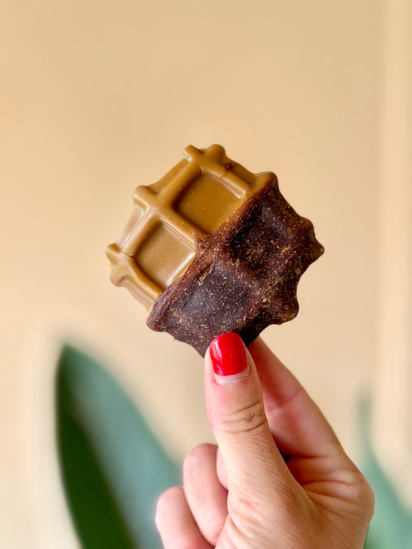 Gourmet Chicken Waffle Dog Treat - Tail and Tropic