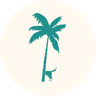tailandtropic