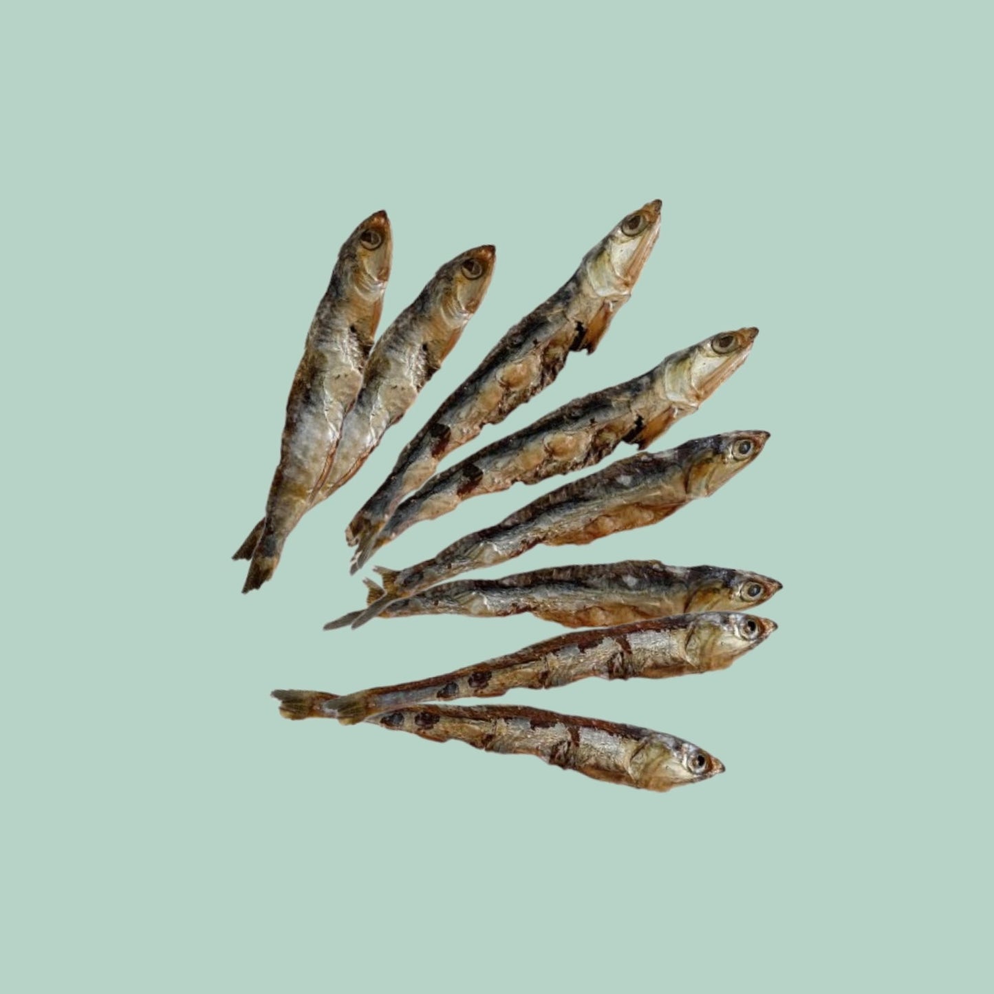 50g DRIED ANCHOVIES - Dehydrated natural treat for dogs and cats