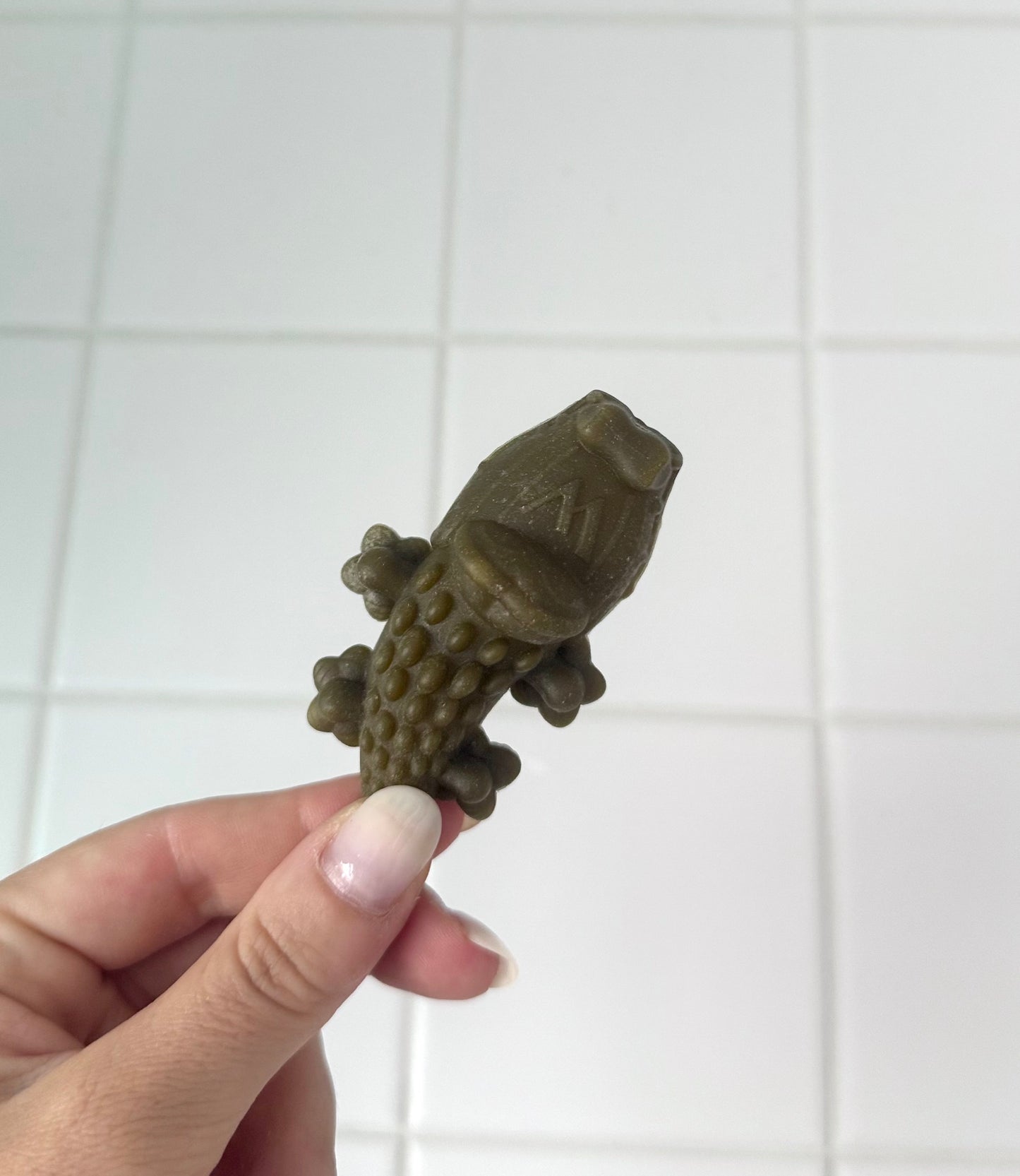 1 x Crocodile Dental Chew by Whimzees - Tail and Tropic