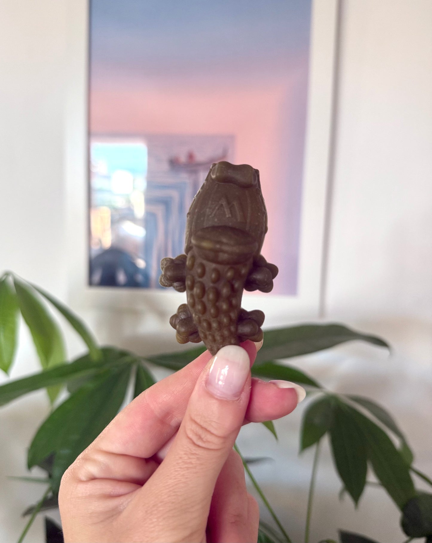 1 x Crocodile Dental Chew by Whimzees - Tail and Tropic