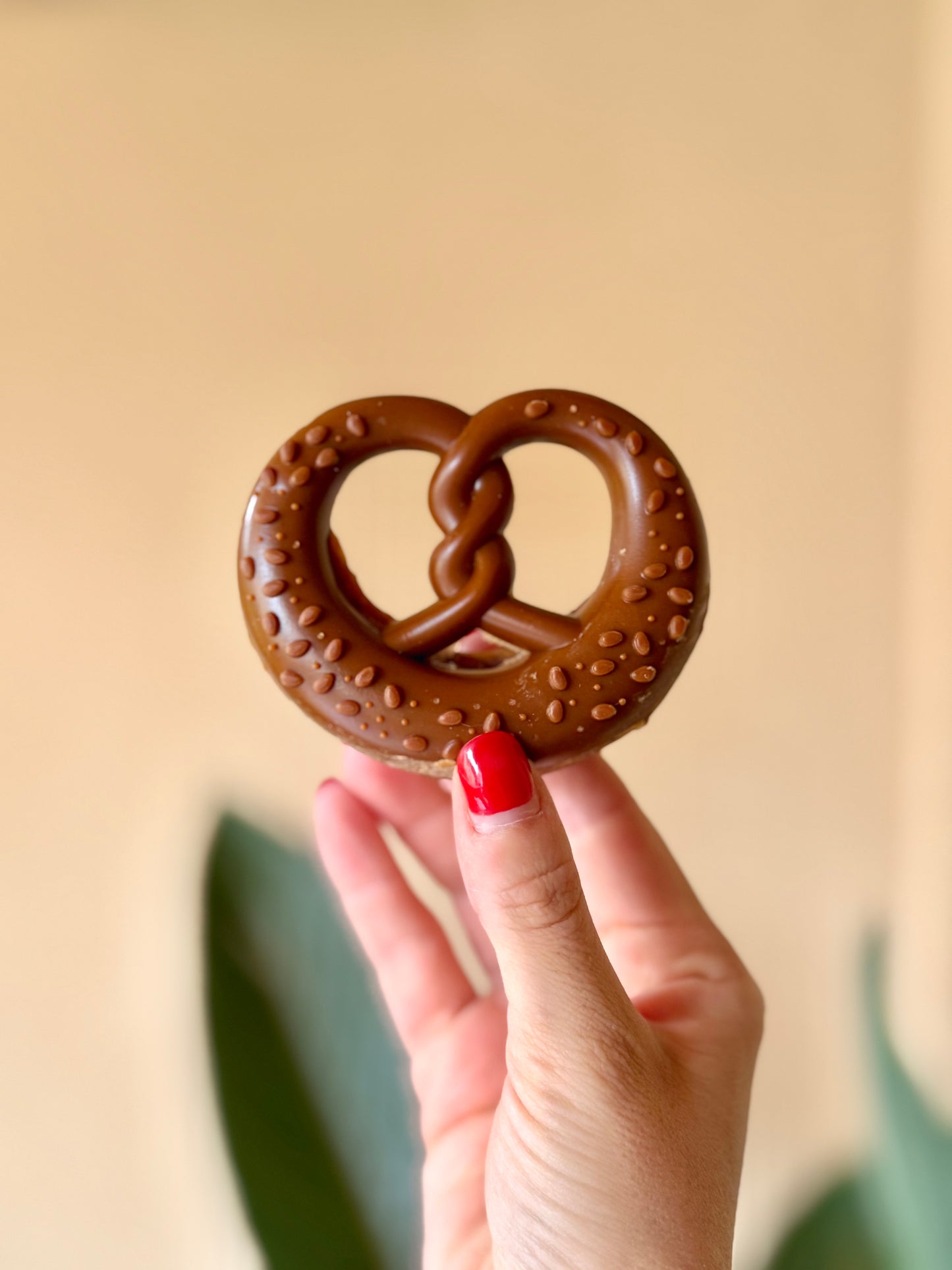 Gourmet Chicken Bretzel Dog Treat - Tail and Tropic