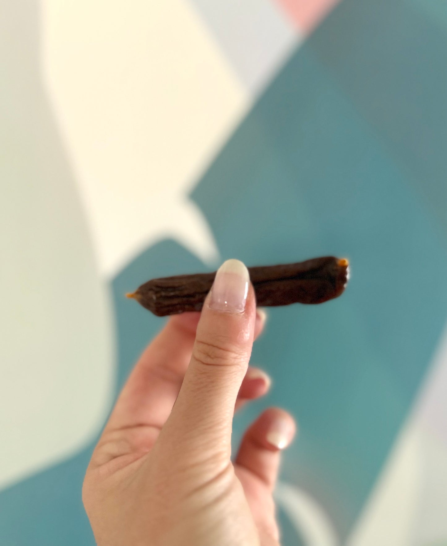 1 x Natural Chicken Sausage for Dogs (10 g) - Tail and Tropic