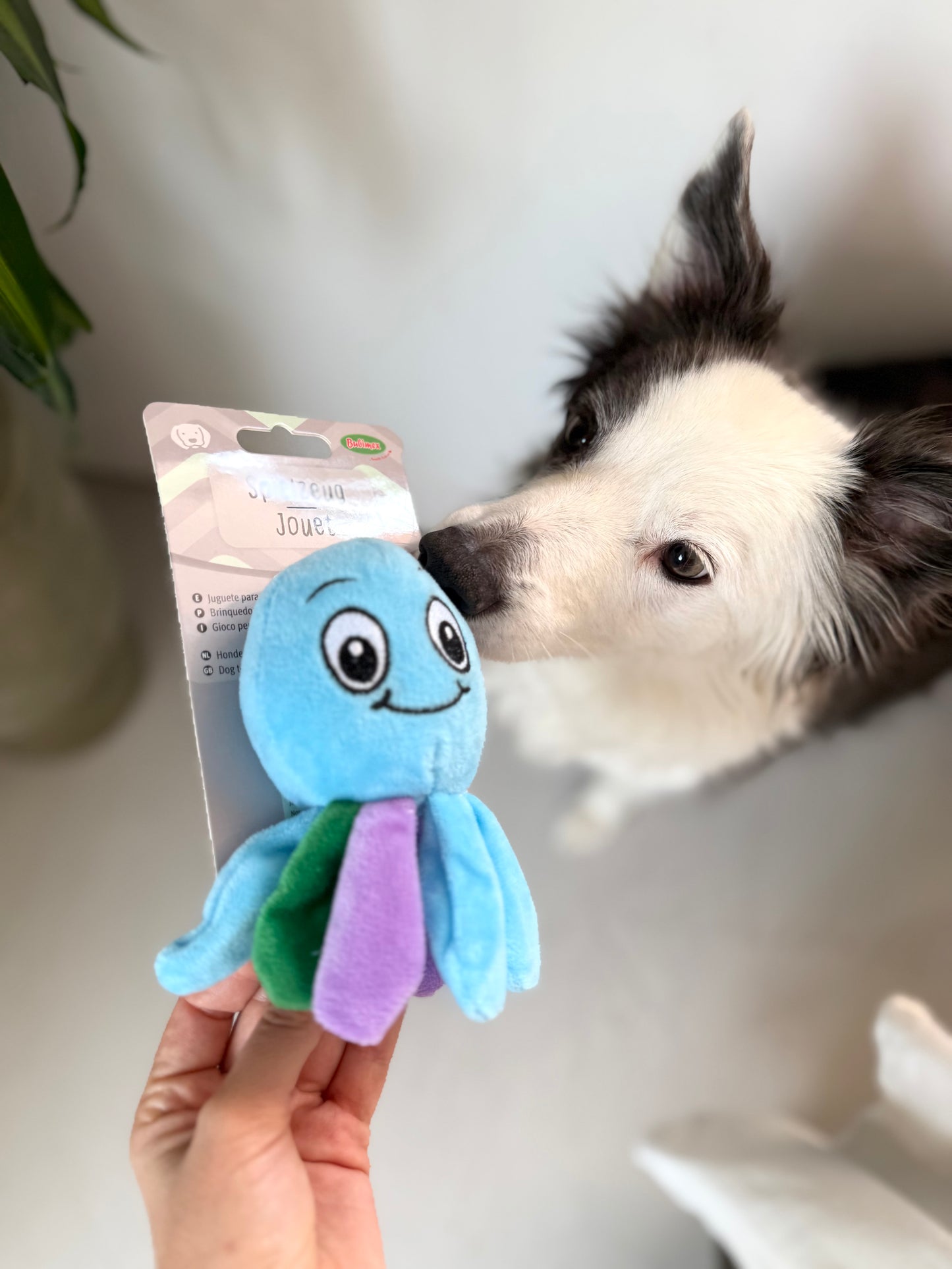 Plush Octopus Toy with sound - Tail & Tropic