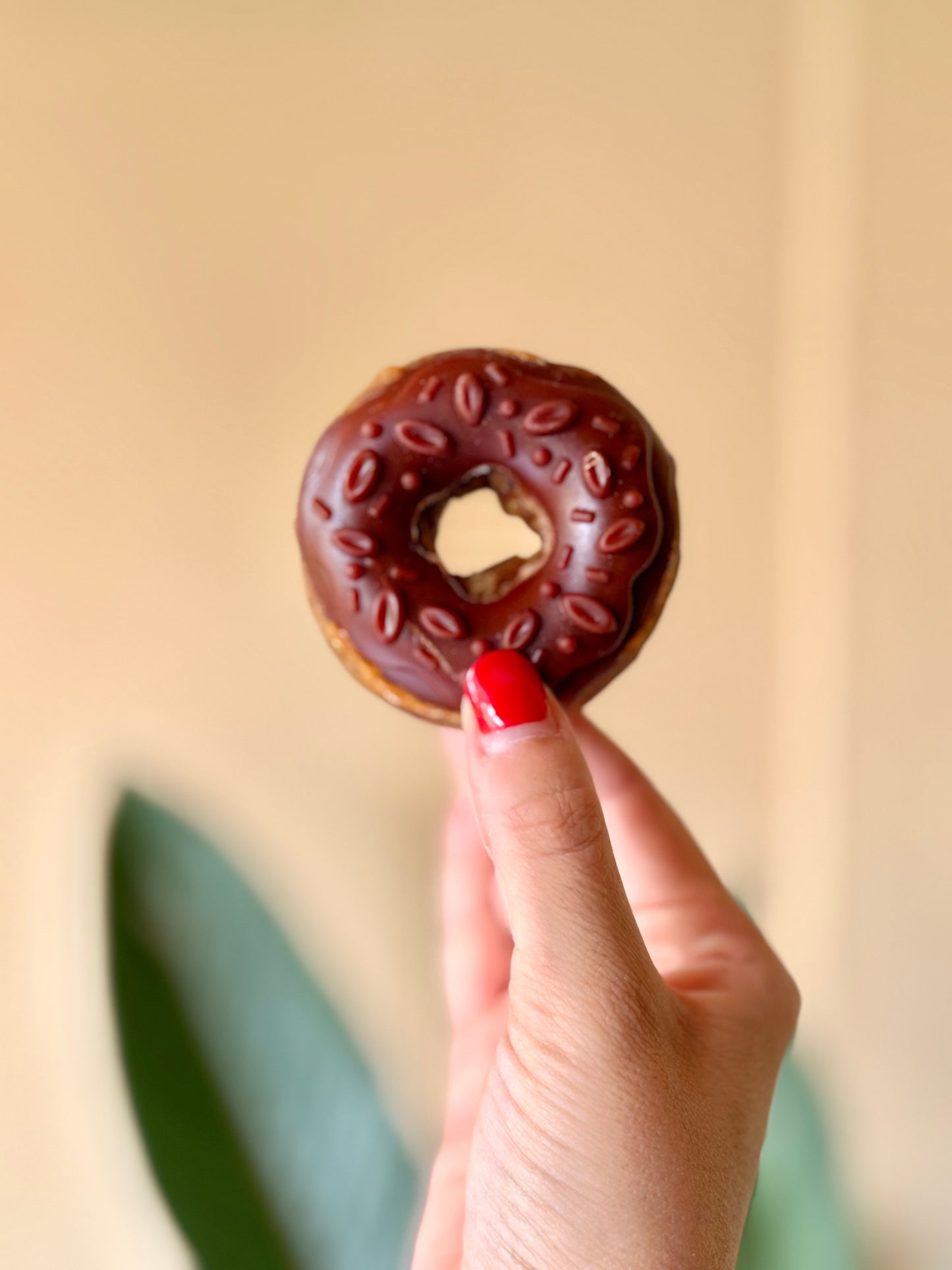 Gourmet Chicken Donuts – Natural Treats for Dogs - Tail and Tropic
