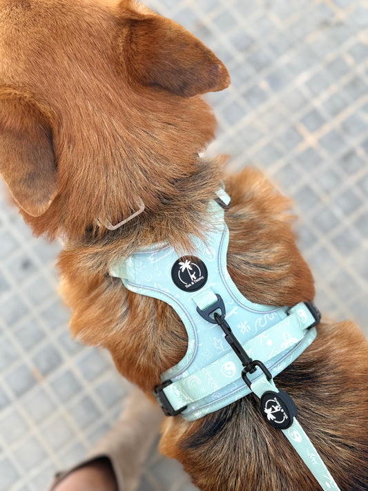 All Terrain Dog Harness – AURA Collection - Mediterranean Blue with Boho Spirit - Tail and Tropic Dog Harness 4x4