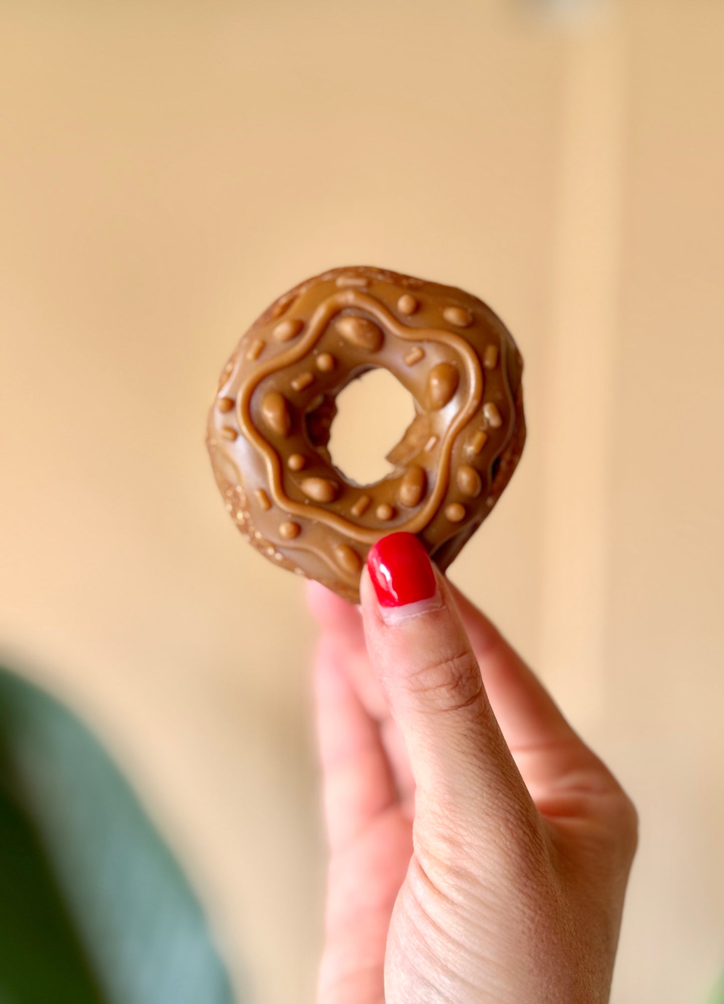 Gourmet Chicken Donuts – Natural Treats for Dogs - Tail and Tropic