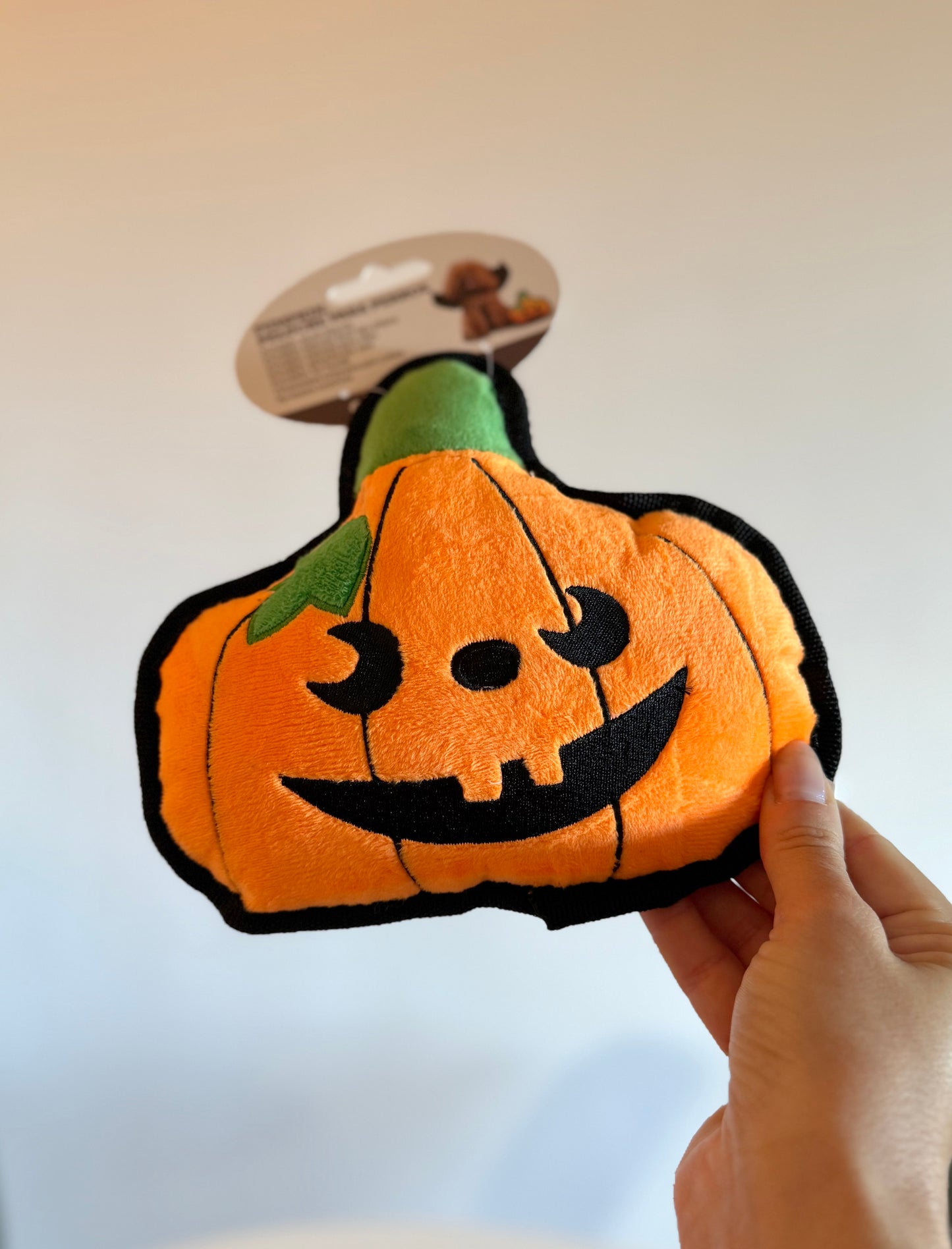 Halloween Pumpkin Dog Plush Toy – Tail & Tropic