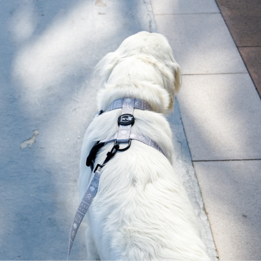 FIHR - Adjustable H Harness for dogs