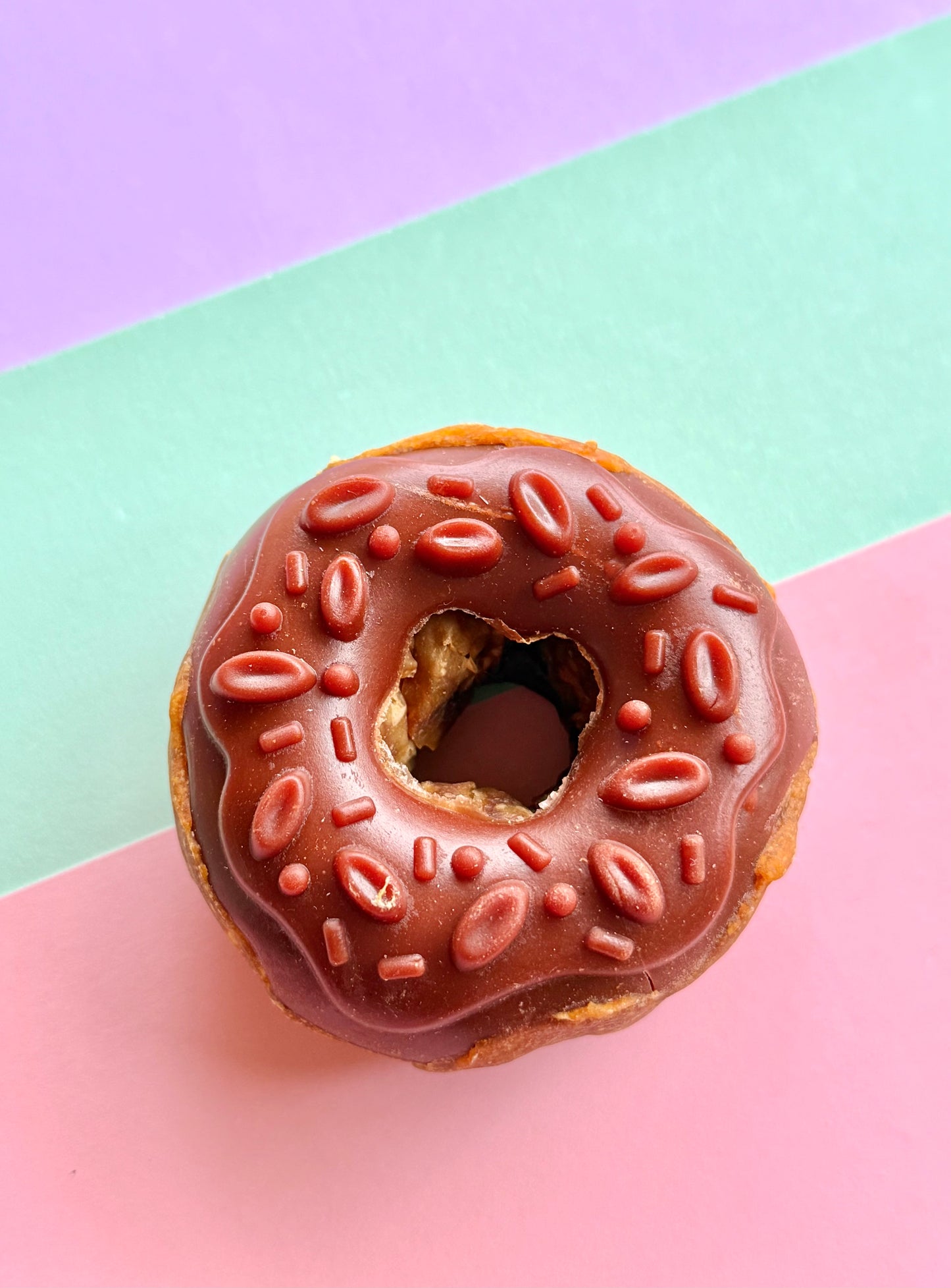 Gourmet Chicken Donuts – Natural Treats for Dogs - Tail and Tropic