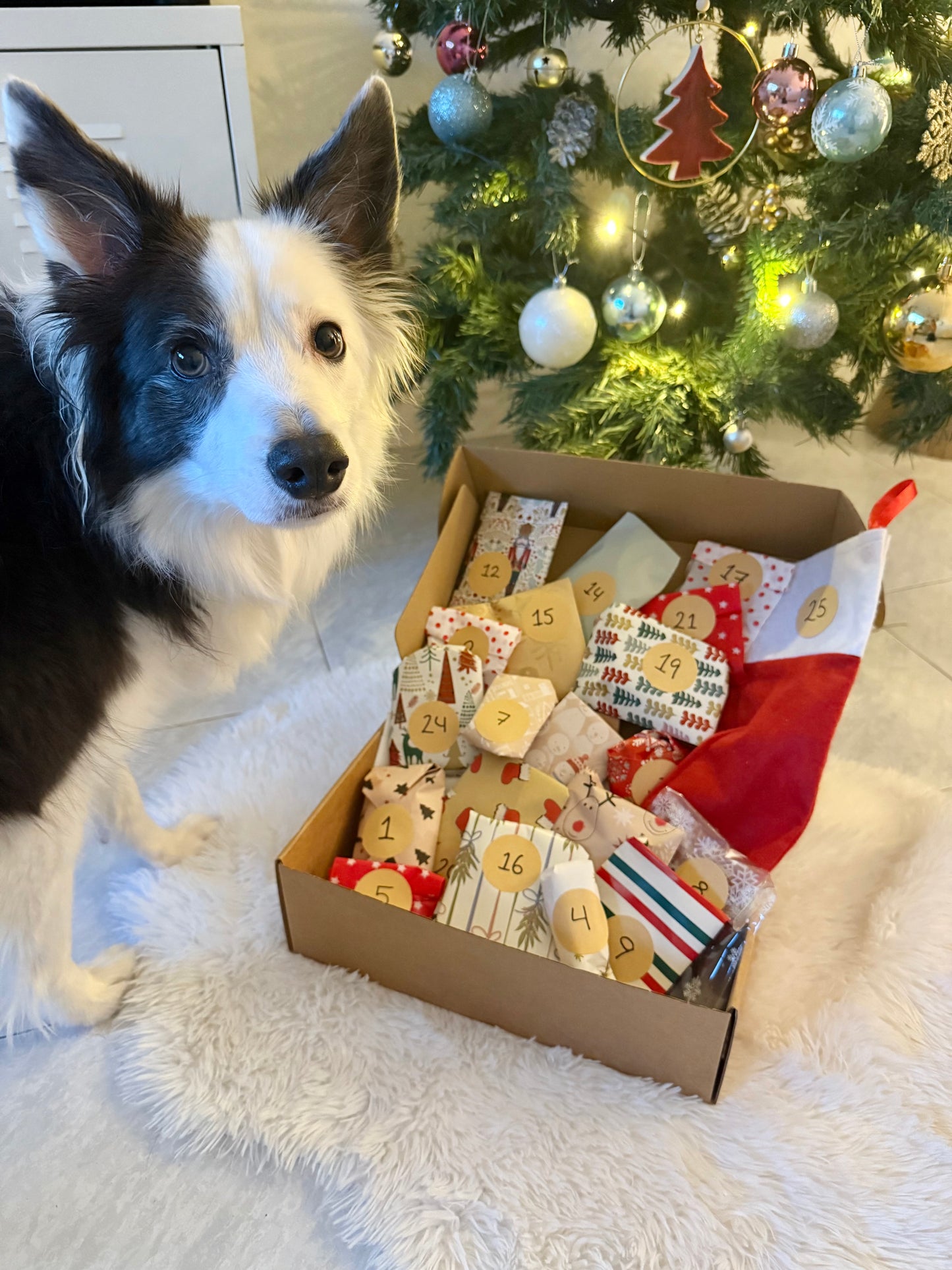 PRE ORDER 🎄Doggie Christmas Advent Calendar - Tail and Tropic Natural Treats 🐾