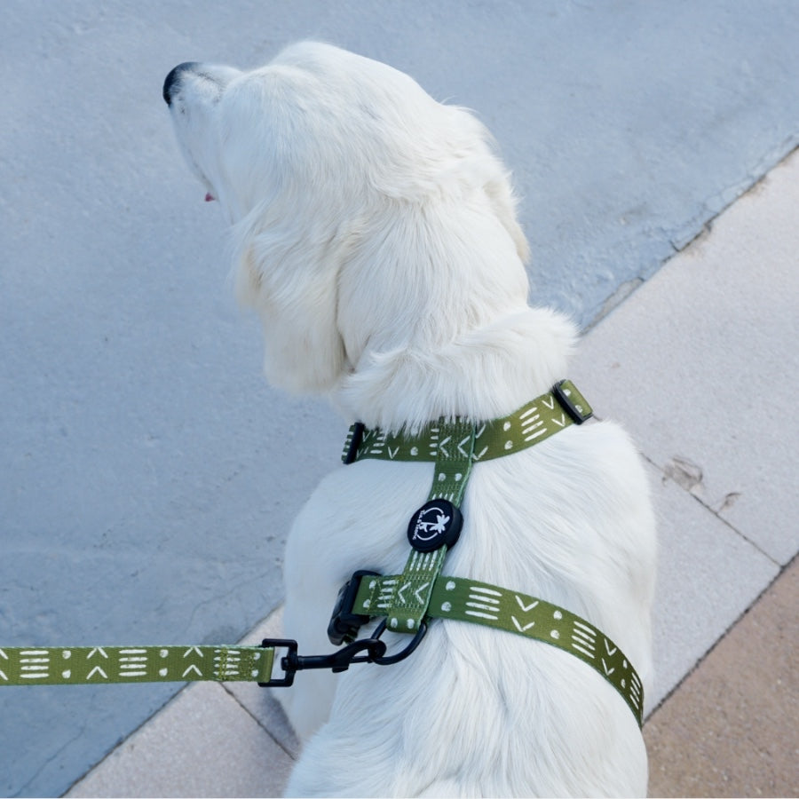 ORION - Adjustable H Harness for dogs