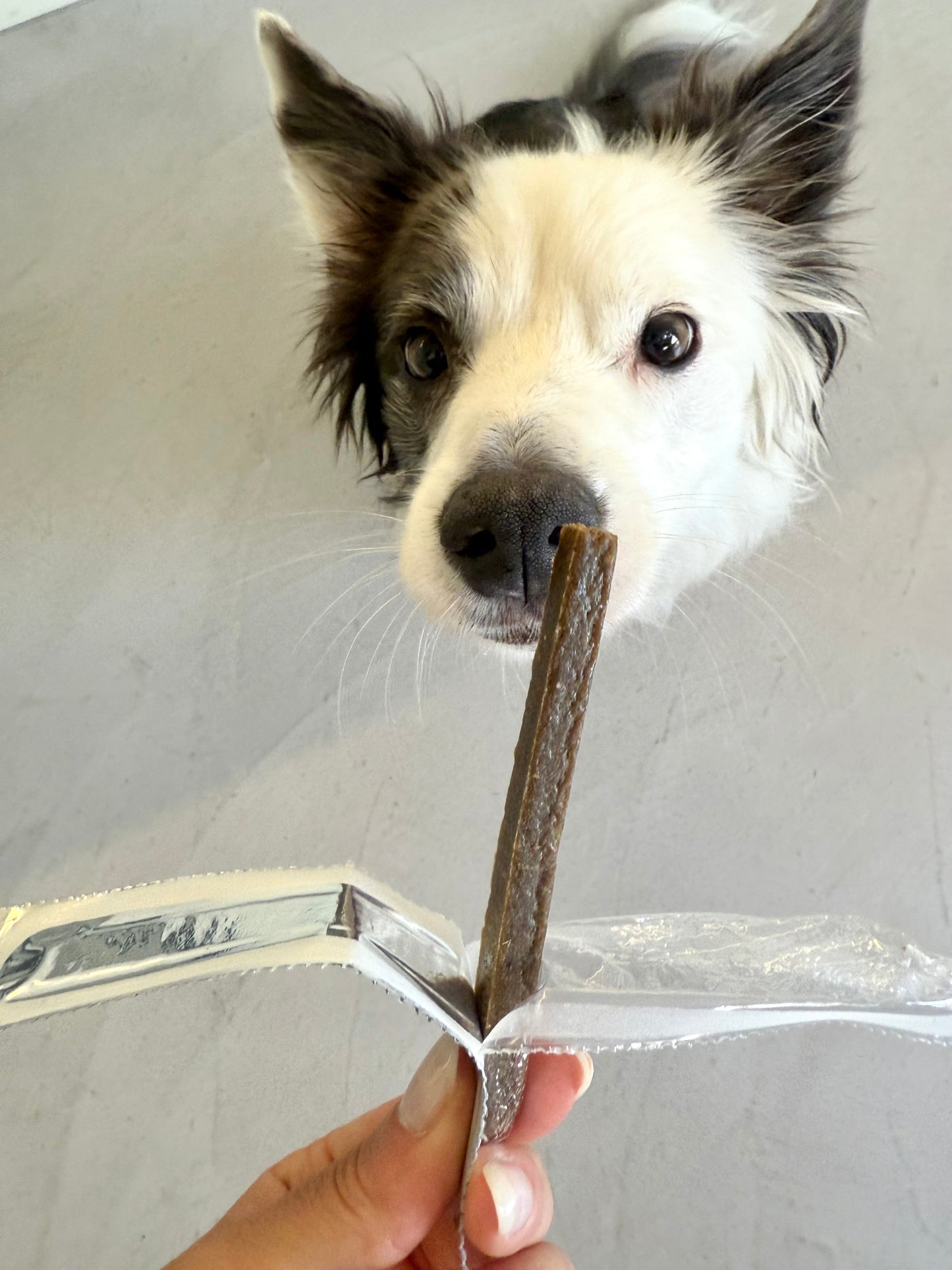 1 x Liver Bar for Dogs By Alpha Spirit - Tail and Tropic