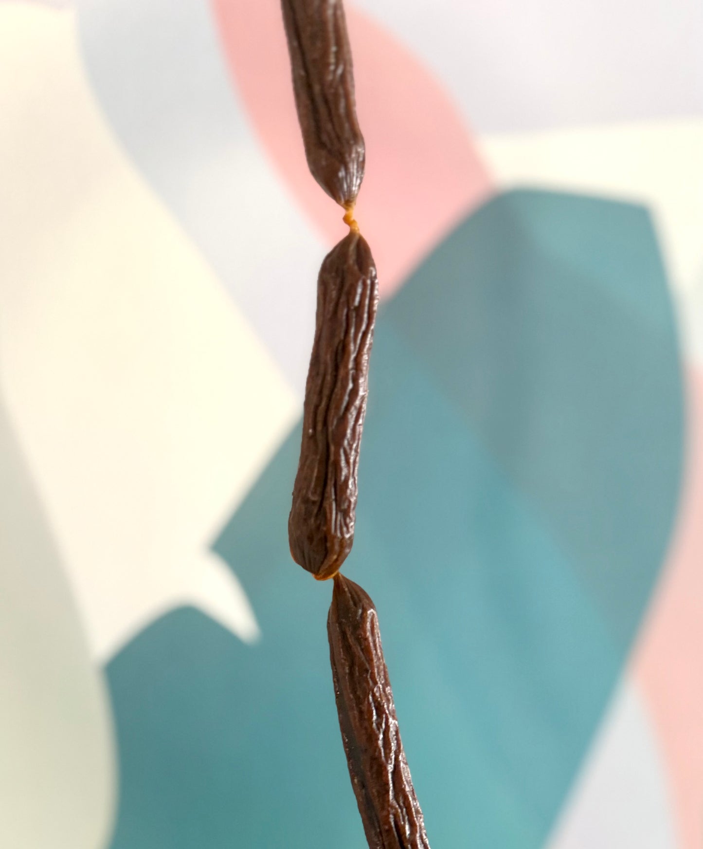 1 x Natural Chicken Sausage for Dogs (10 g) - Tail and Tropic