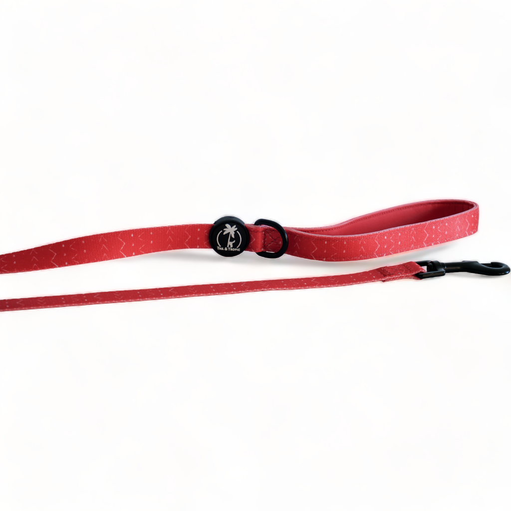 BLAZE - 1.5 metre Dog Lead