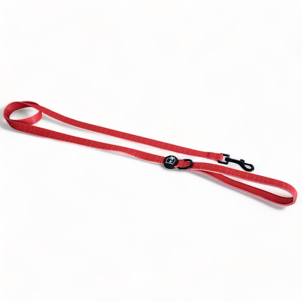 BLAZE - 1.5 metre Dog Lead