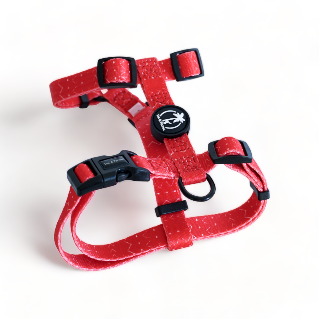 BLAZE - Arnés Ajustable H para perros