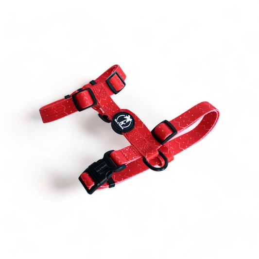BLAZE - Adjustable H Harness for dogs