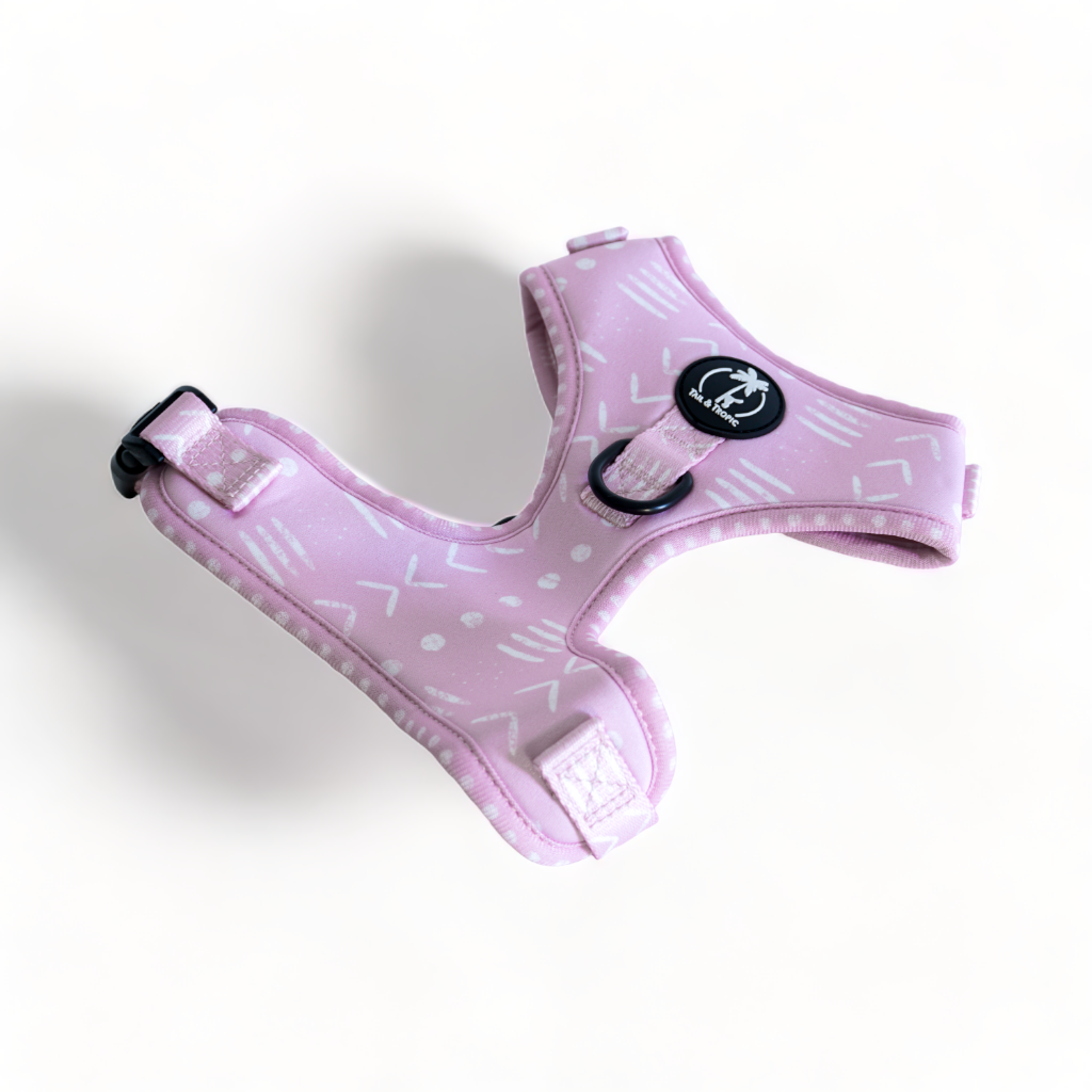 ONA - Adjustable Harness for dogs