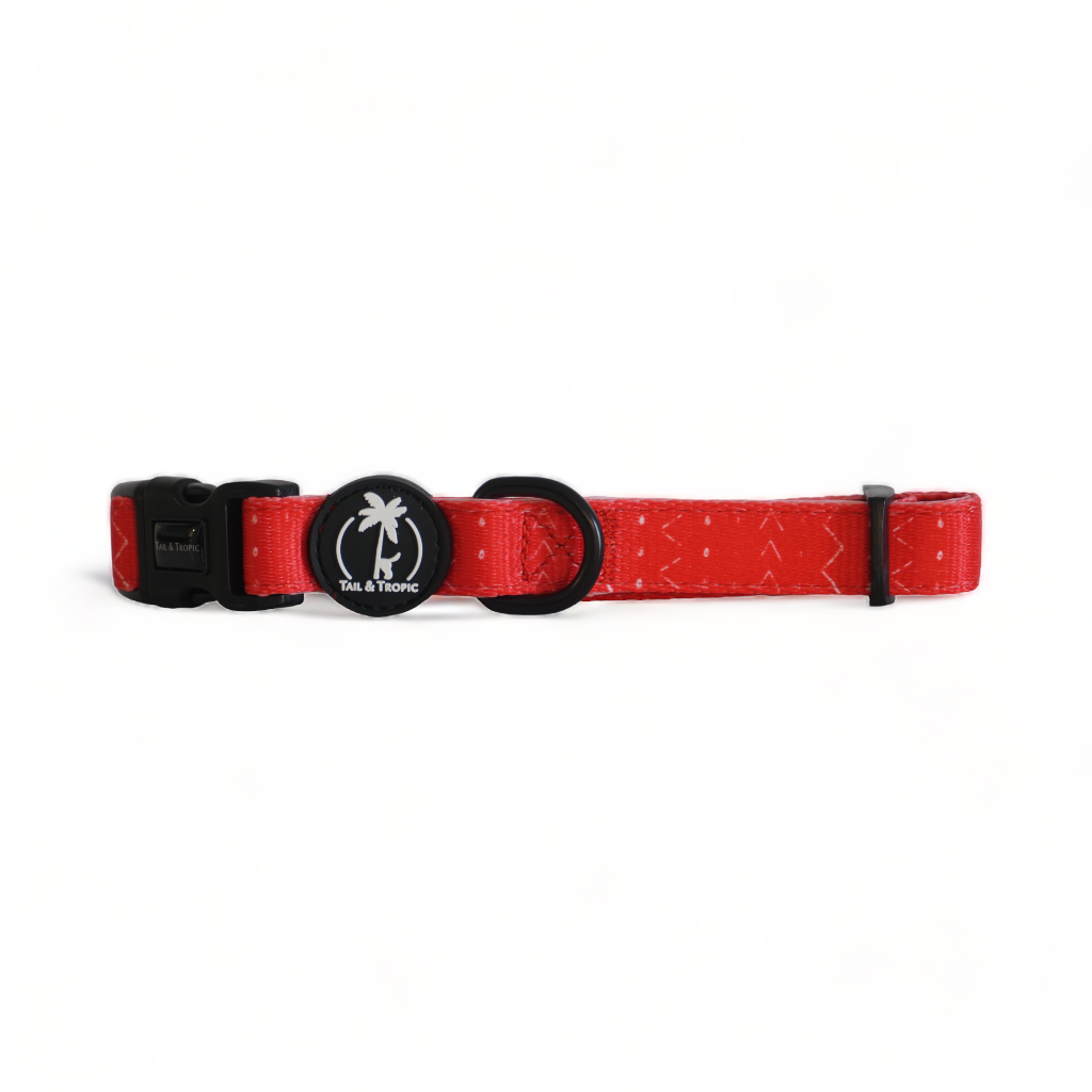 BLAZE - Adjustable Dog Collar