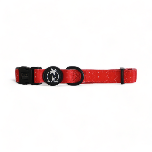 BLAZE - Adjustable Dog Collar