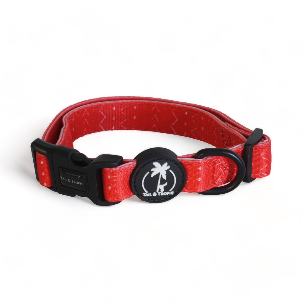 BLAZE - Adjustable Dog Collar