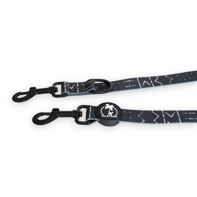 Multi position hands free dog lead double attachment no pull