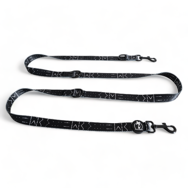 Multi position hands free dog lead double attachment no pull