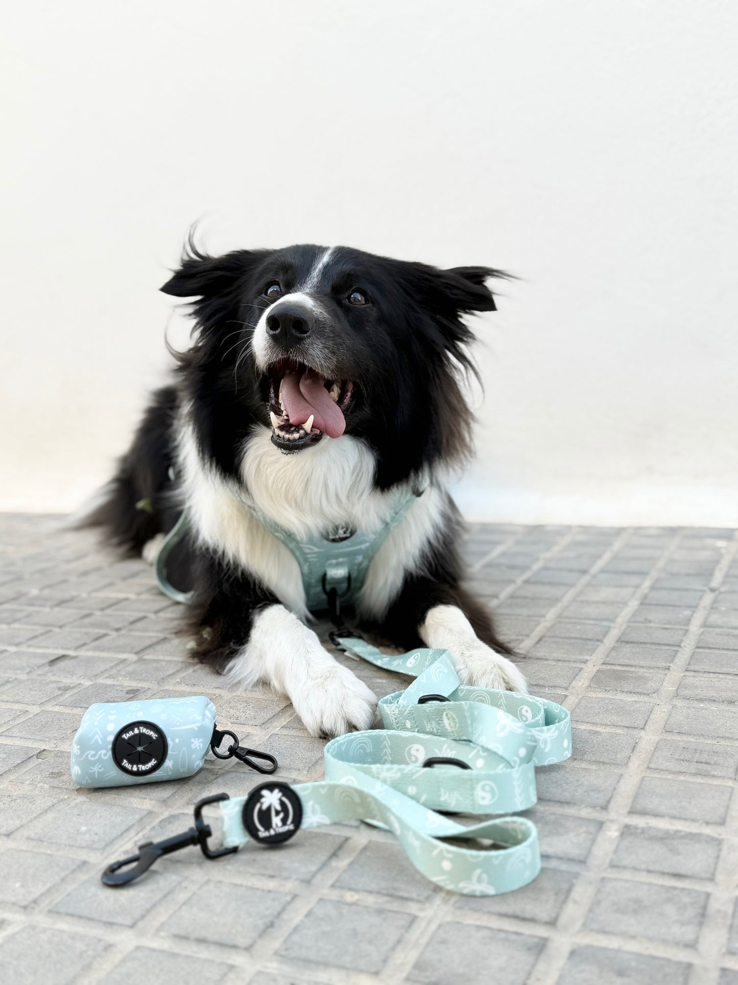 Multi-Position Dog Lead – AURA Collection 🌊 | Hands-Free Freedom in Boho Blue Tail & Tropic Dog Lead