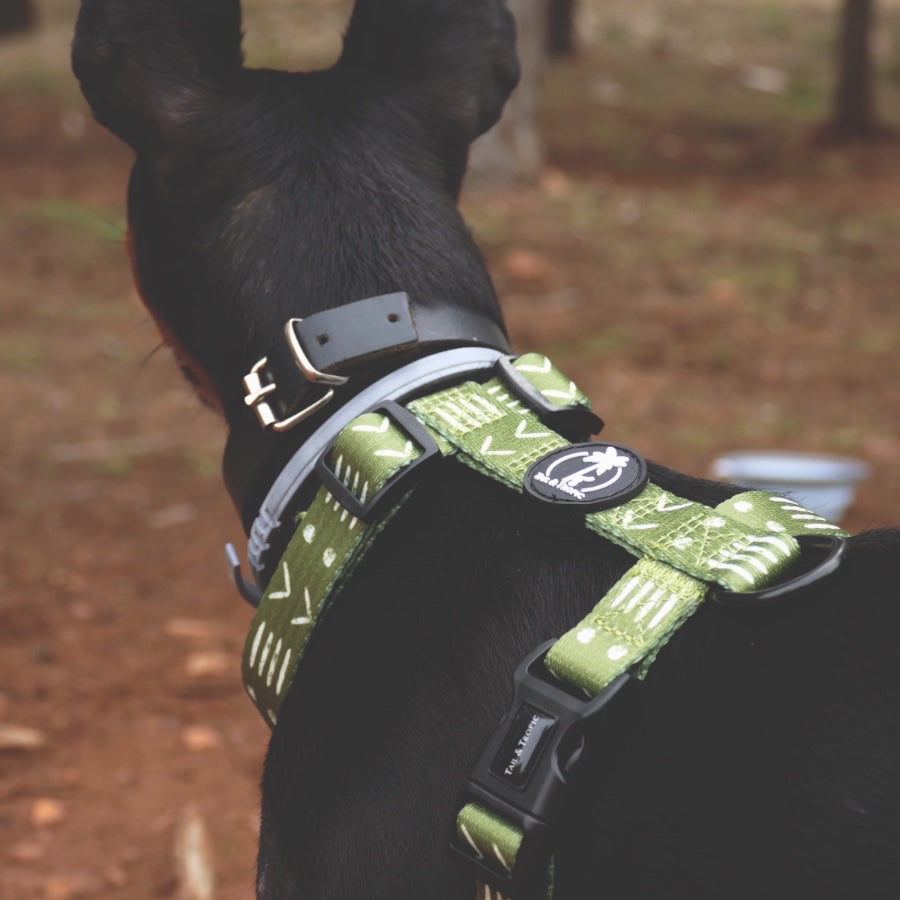 ORION - Adjustable H Harness for dogs