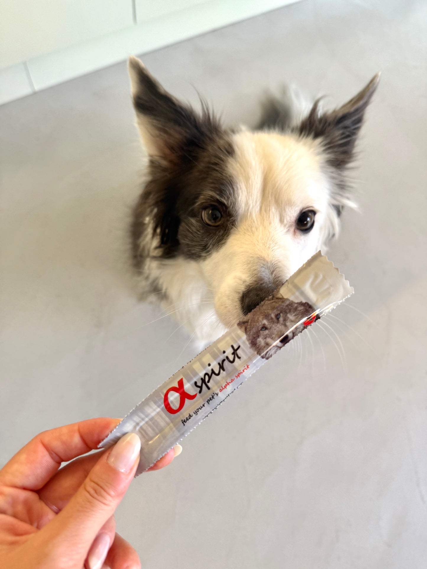 1 x Liver Bar for Dogs By Alpha Spirit - Tail and Tropic