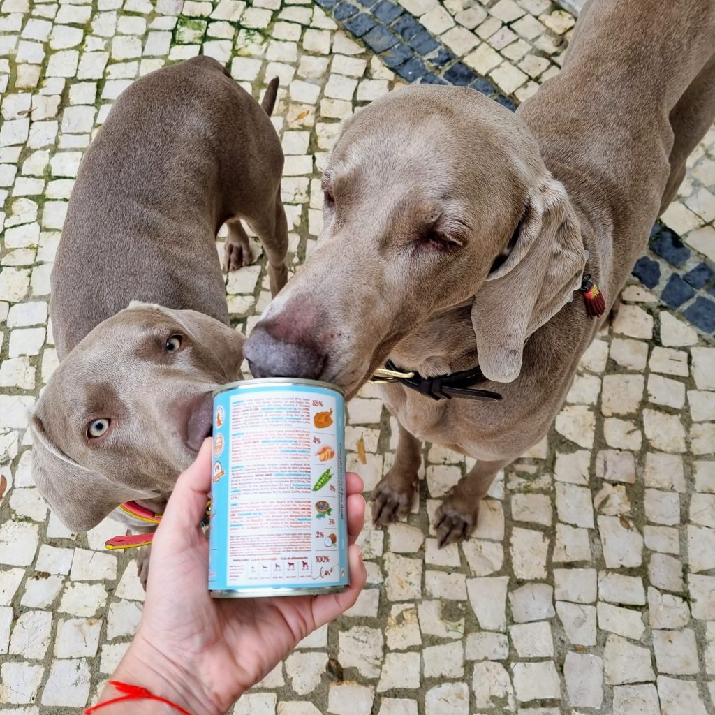 TURKEY & SWEET POTATO Humid Tinned Food From Cookas Cookies- Tail & Tropic