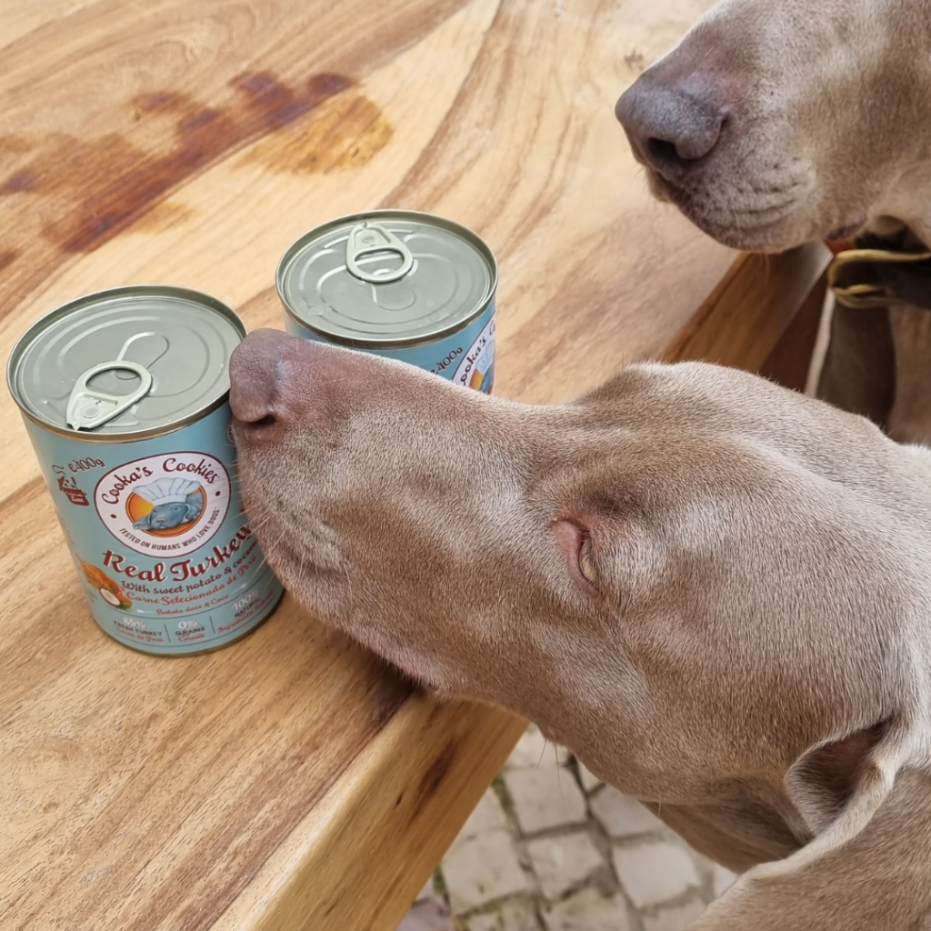 TURKEY & SWEET POTATO Humid Tinned Food From Cookas Cookies- Tail & Tropic