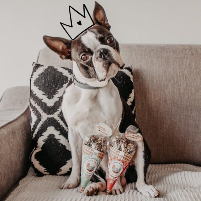 TURKEY KISSES - Handmade natural dog treats from Cookas Cookies - Tail & Tropic