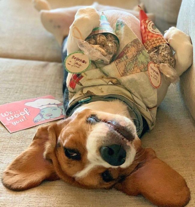 TURKEY KISSES - Handmade natural dog treats from Cookas Cookies - Tail & Tropic