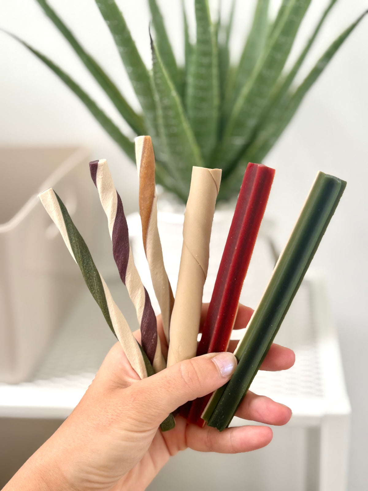 Dental Chews