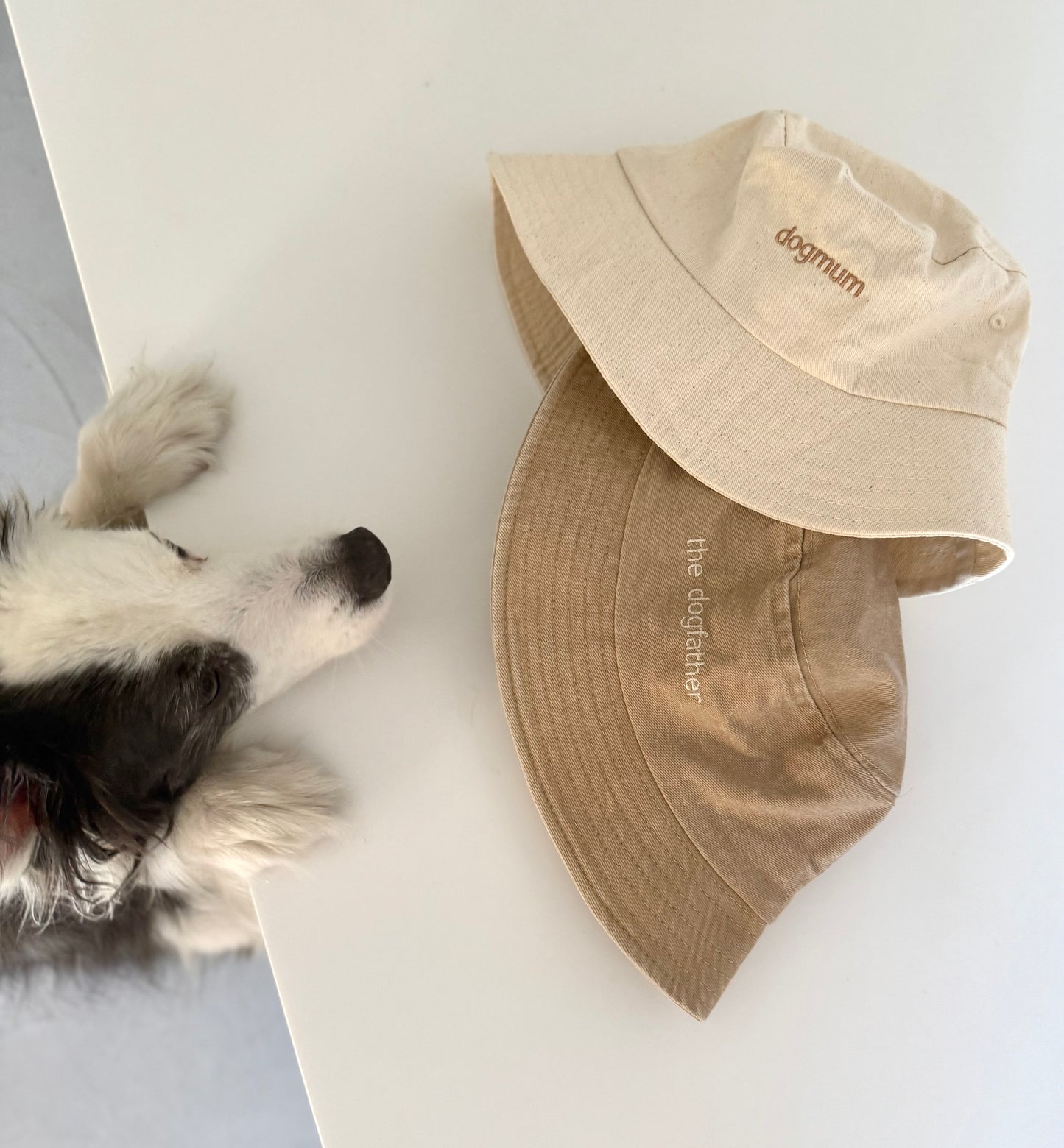 Sombrero de pescador – dogmum / el padre perro - Tail and Tropic