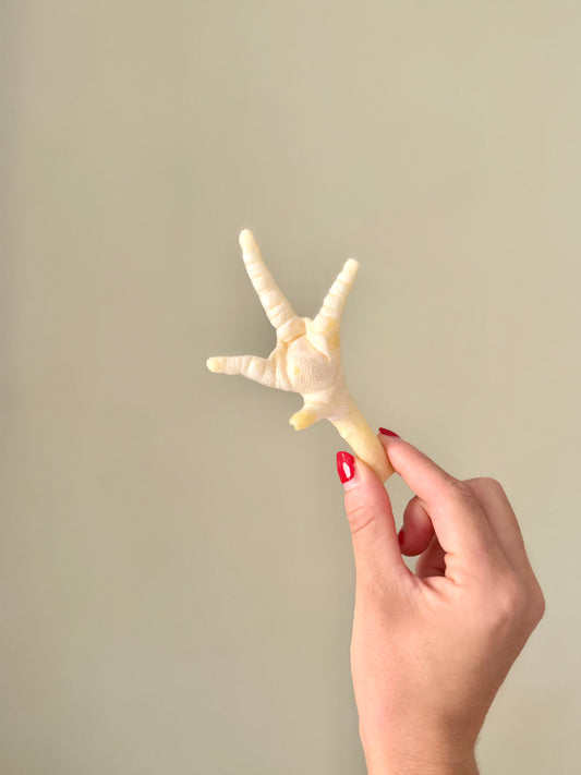 1 x Natural White Chicken Foot - Tail and Tropic