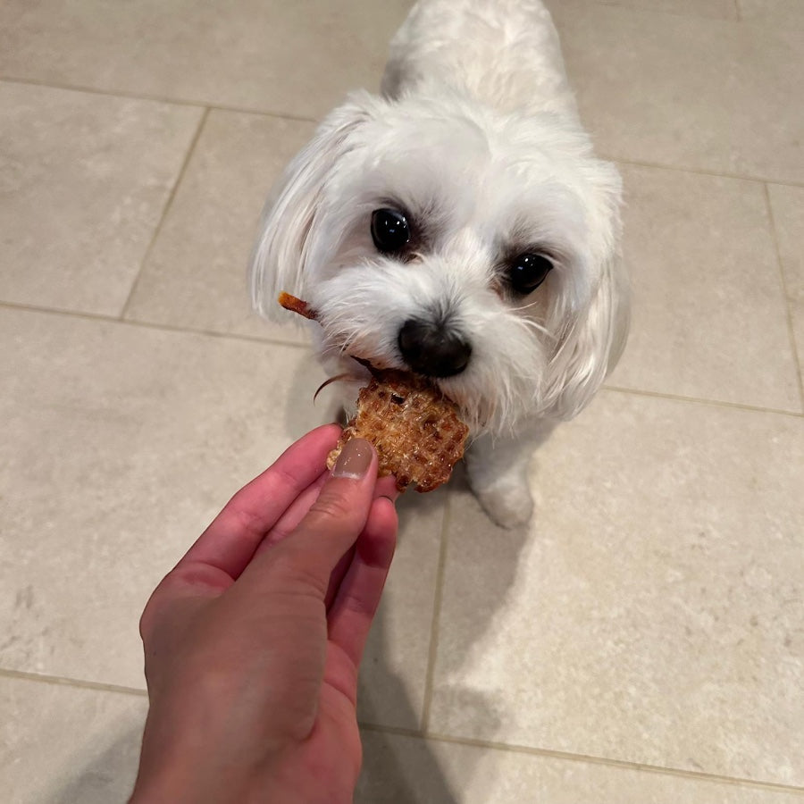 CHICKEN BREAST - Dehydrated natural treat for dogs