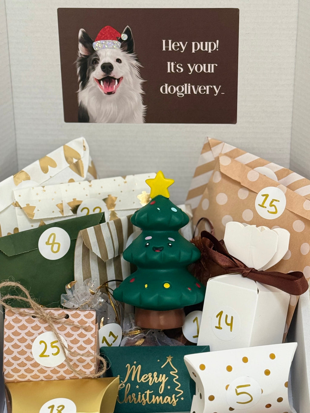 THE TAIL & TROPIC ADVENT CALENDAR 🎄
