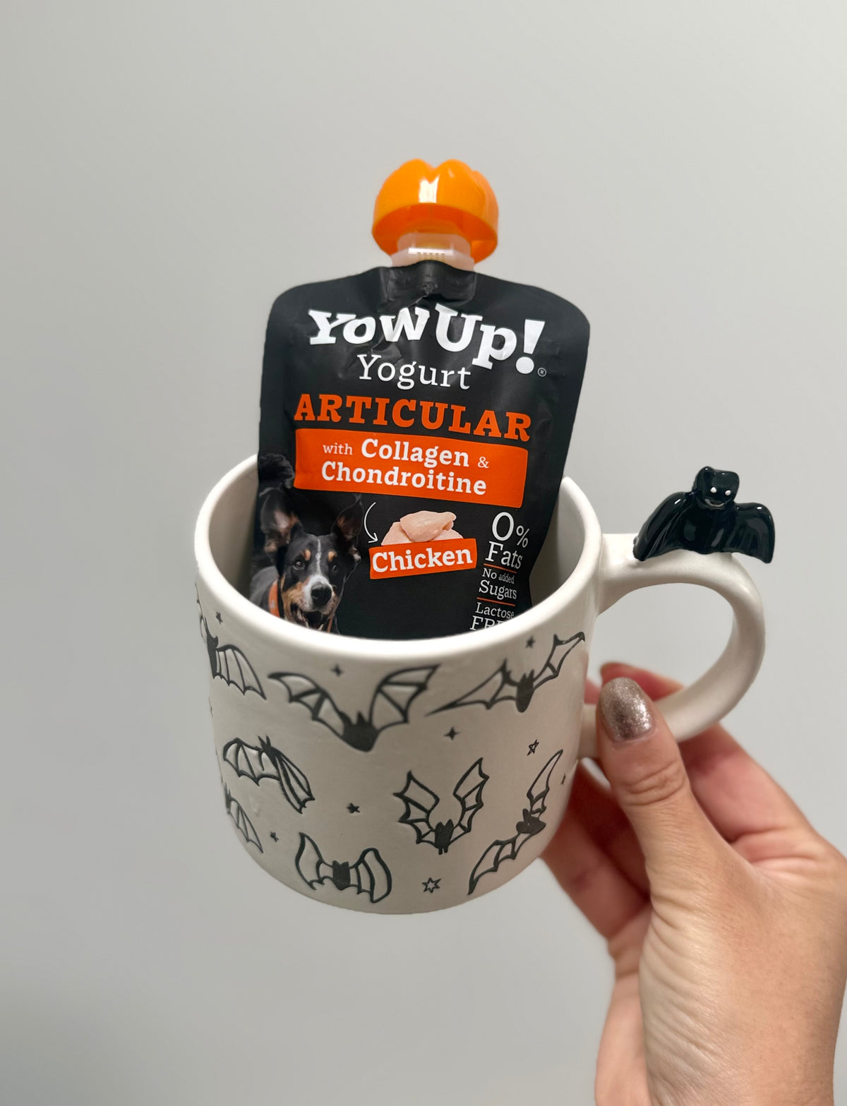 YowUp! Articular Chicken Yoghurt 115g