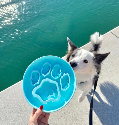 SLOW FEEDER - Ocean Blue Slow Feeder Dog Bowl - Tail and Tropic