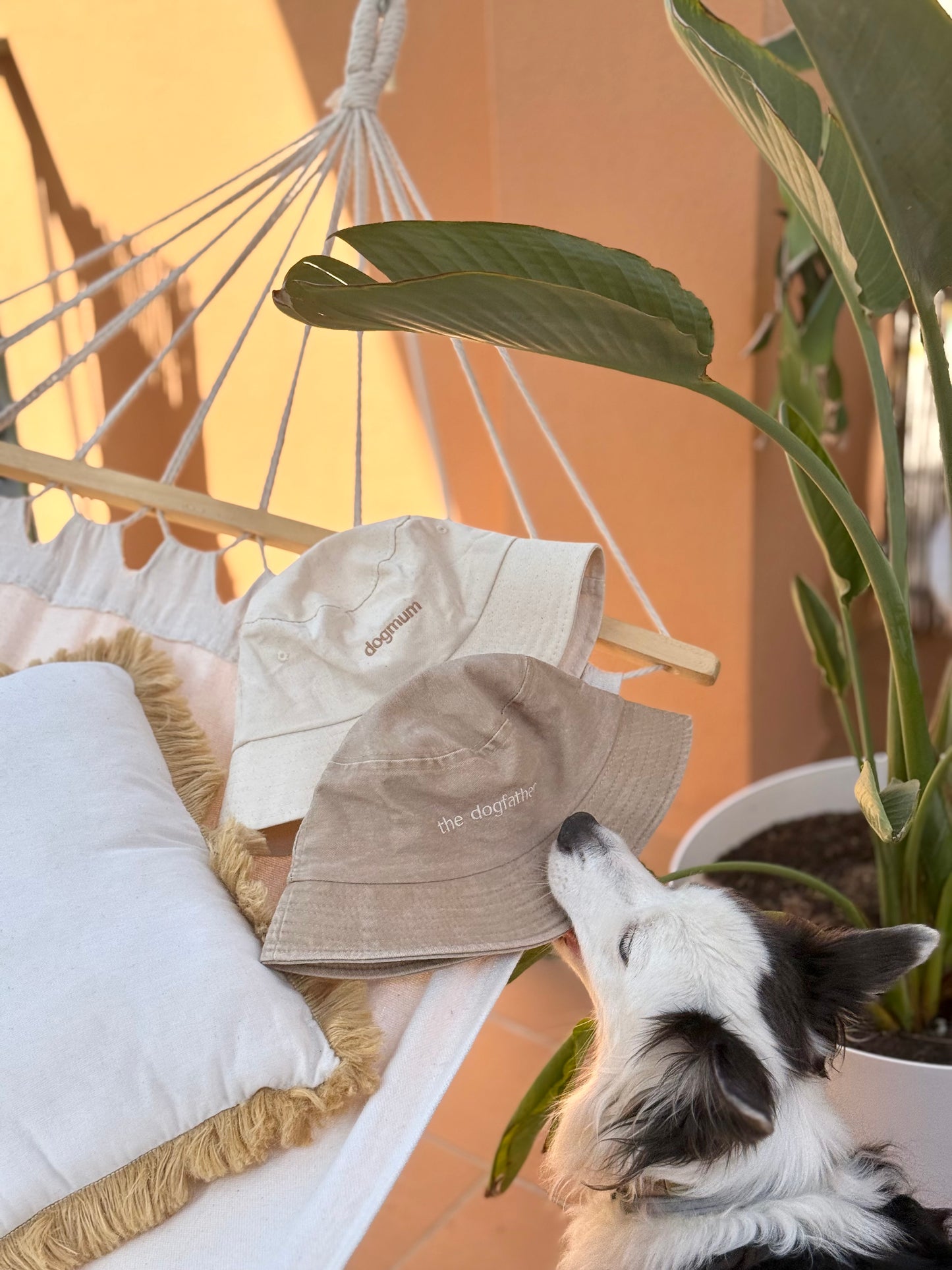 Sombrero de pescador – dogmum / el padre perro - Tail and Tropic