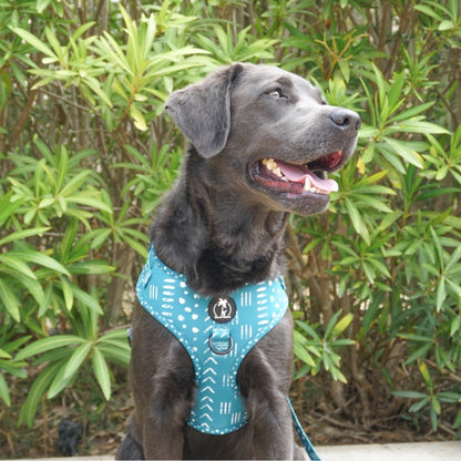 KAIA - Adjustable Harness for dogs