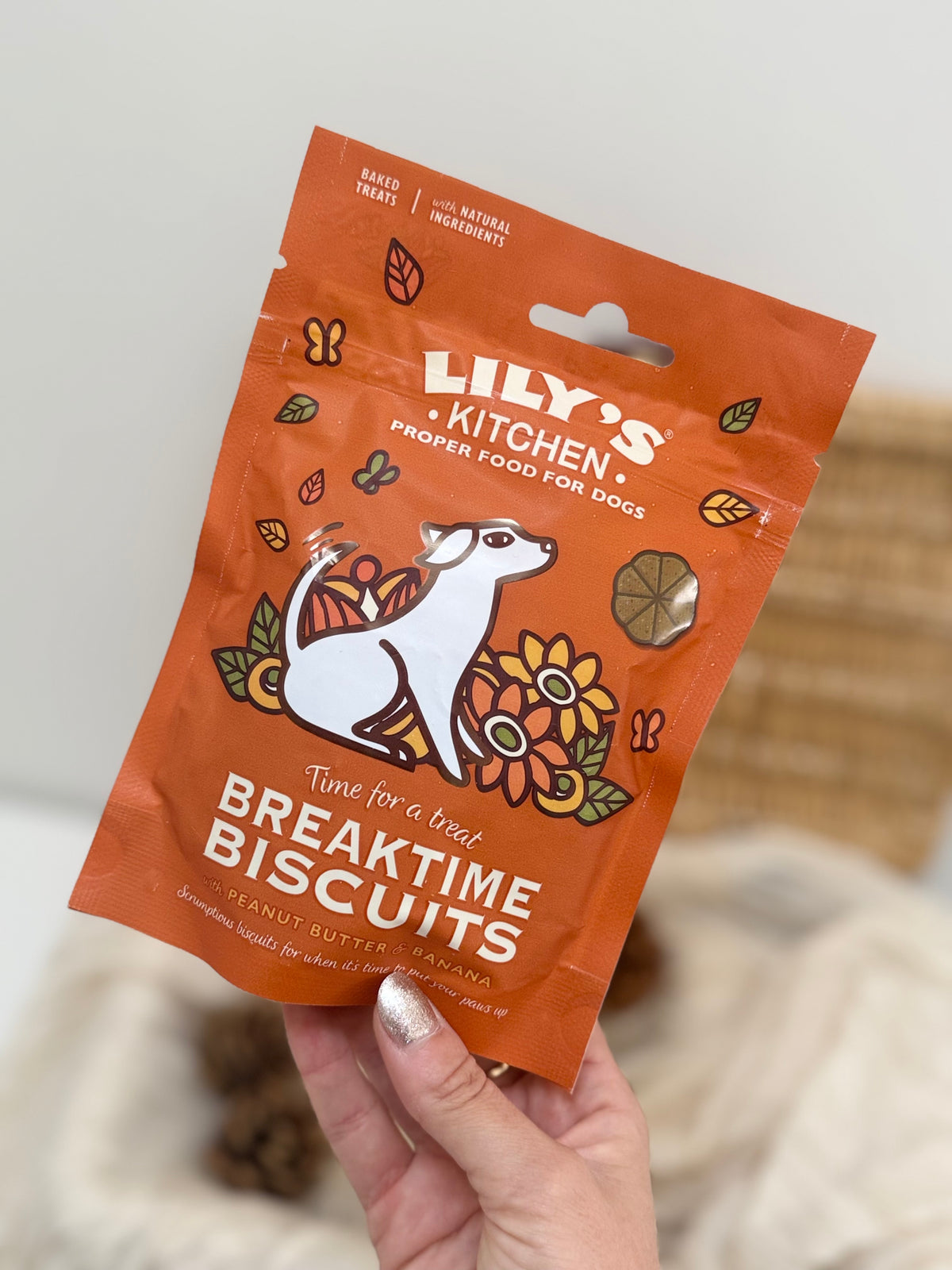 Lily's Kitchen Breaktime Biscuits – Peanut Butter & Banana 80g