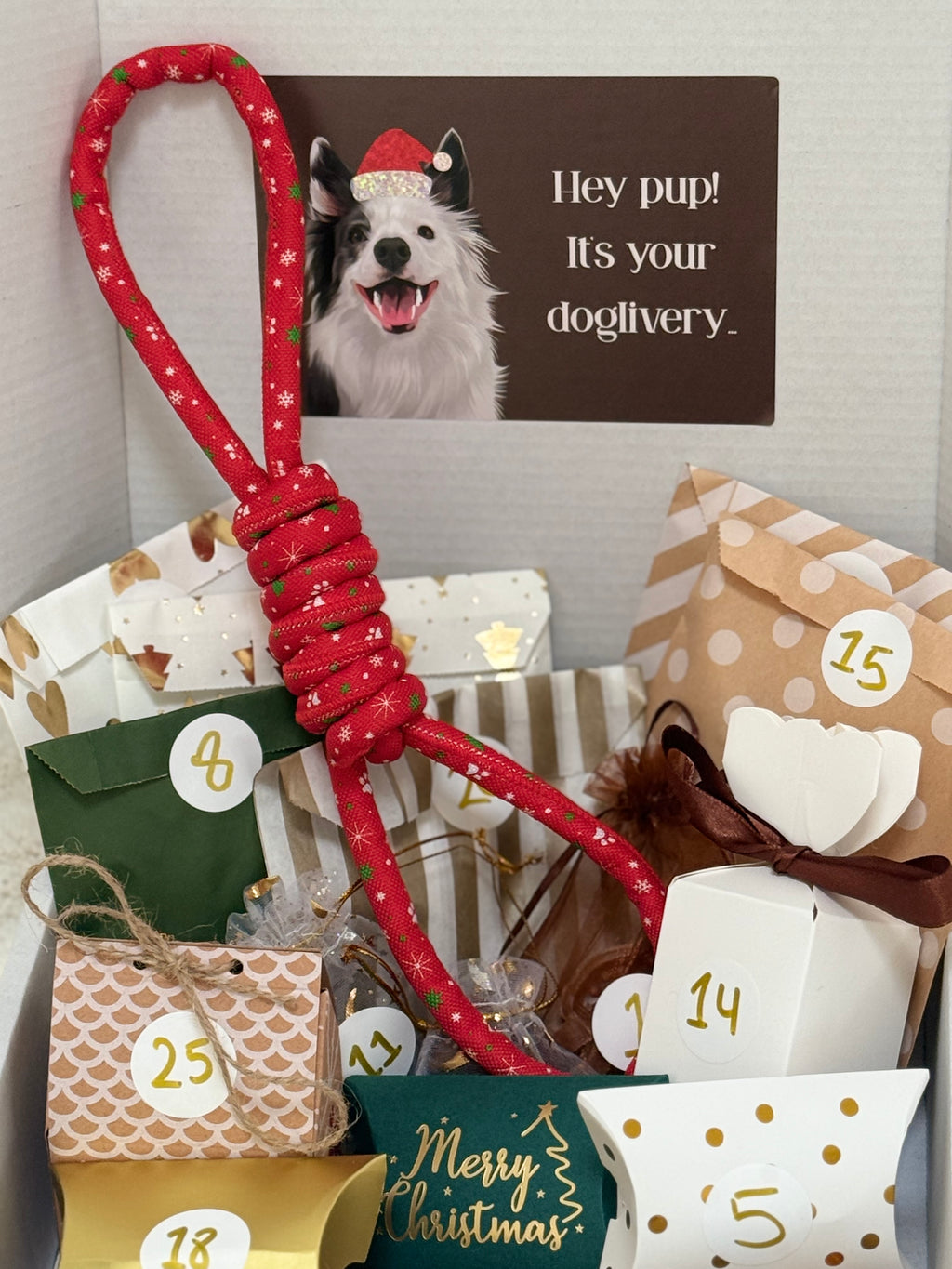 THE TAIL & TROPIC ADVENT CALENDAR 🎄